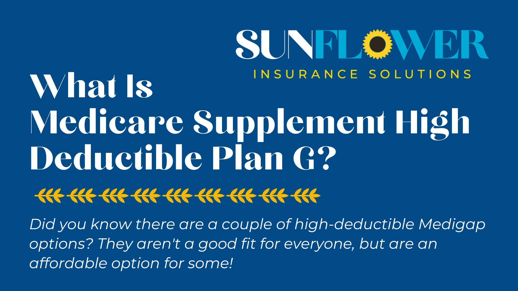 What Is Medicare Supplement High Deductible Plan G? Sunflower Senior