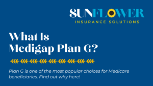 what is medigap plan g blog cover